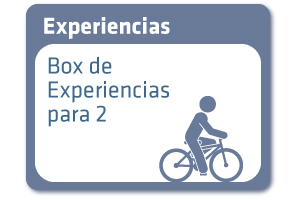 experiencia experiencia